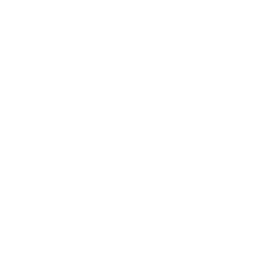 Game Developer